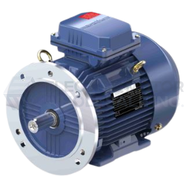 Image for 10HP MARATHON 1180RPM 160M IP55 3PH B3/B5 TERRAMAX IEC MOTOR R832